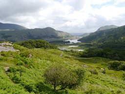Irland 1